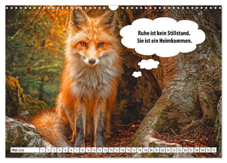 Produktbild: Stille Pfoten, weise Worte - Tiere zeigen dir den Weg zu mehr Gelassenheit (Wandkalender 2026 DIN A3 quer), CALVENDO Monatskalender