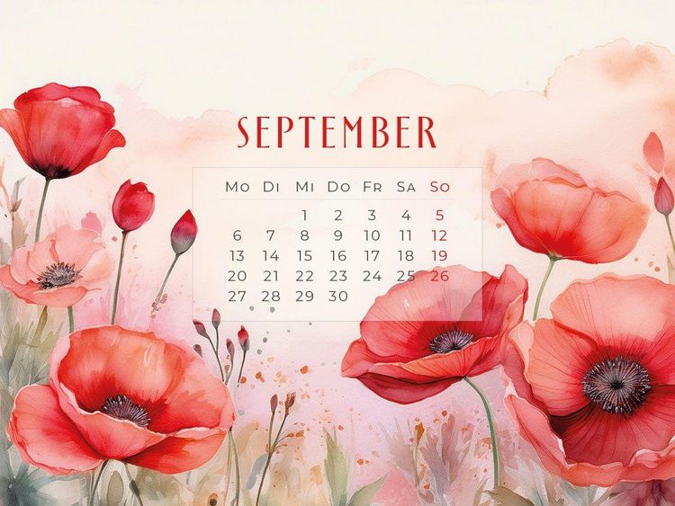 Produktbild: Flowers - Ein Jahr in Bl&uuml;te Kalender 2027