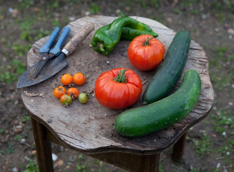 Produktbild: Zum Gl&uuml;ck Gem&uuml;se. 350 Gem&uuml;serezepte f&uuml;r alle Jahreszeiten