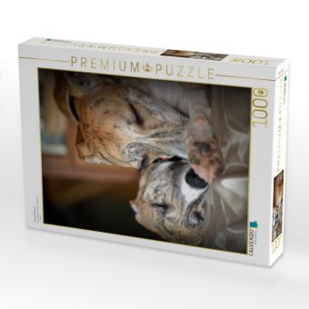 Produktbild: CALVENDO Puzzle Classy Whippets | 1000 Teile Lege-Gr&ouml;&szlig;e 64x48cm Foto-Puzzle f&uuml;r gl&uuml;ckliche Stunden