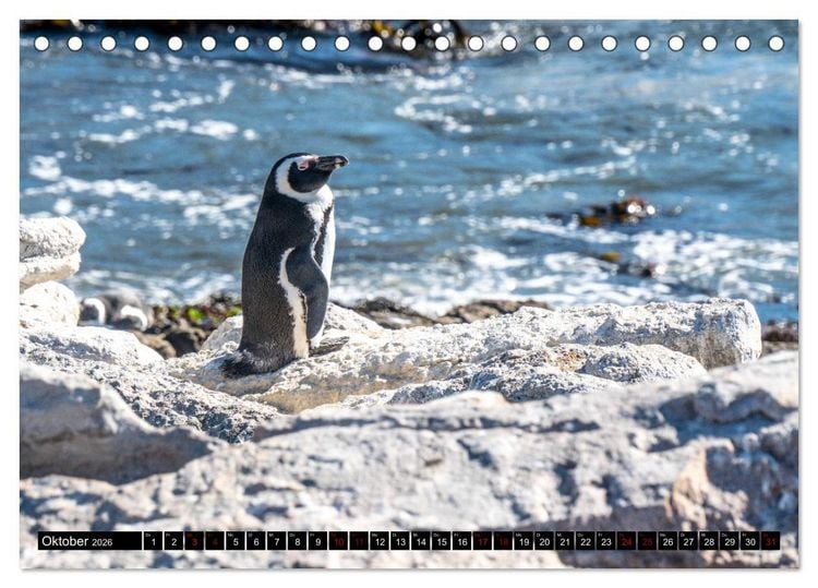 Produktbild: S&uuml;dafrika - Urlaubsimpressionen (Tischkalender 2026 DIN A5 quer), CALVENDO Monatskalender