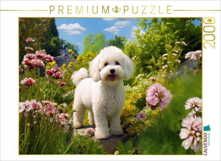 Produktbild: CALVENDO Puzzle Ein Motiv aus dem Kalender "Bichon fris&eacute;, wei&szlig;e H&uuml;ndchen mit lockigem Haar" | 2000 Teile Lege-Gr&ouml;&szlig;e 90x67cm Foto-Puzzle f&uuml;r gl&uuml;ckliche