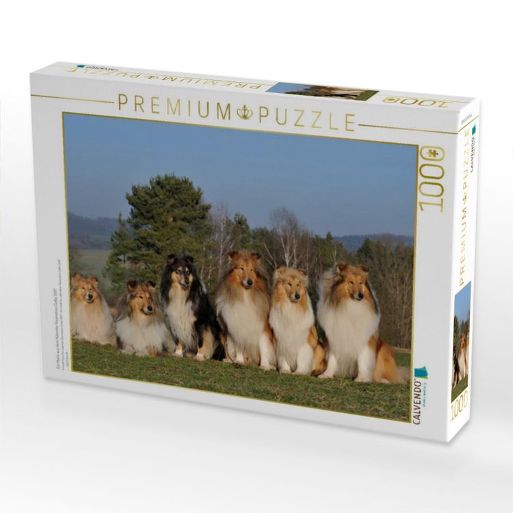 Produktbild: CALVENDO Puzzle Ein Motiv aus dem Kalender Faszination Collie 2017 | 1000 Teile Lege-Gr&ouml;&szlig;e 64x48cm Foto-Puzzle f&uuml;r gl&uuml;ckliche Stunden