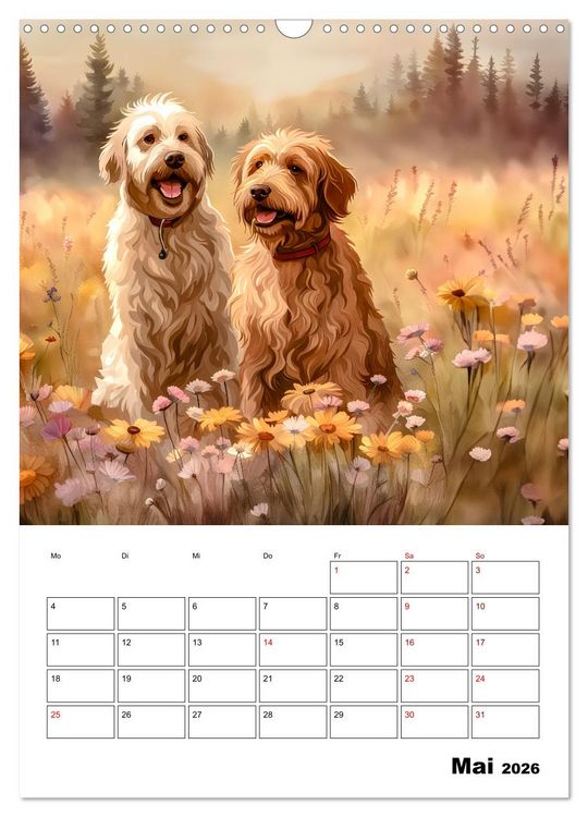 Produktbild: Aussiedoodle - Hunde zum Liebhaben (Wandkalender 2026 DIN A3 hoch), CALVENDO Monatskalender