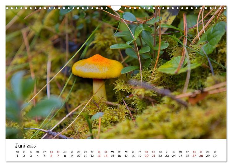 Produktbild: Zwischen Gipfeln und Geschichte - Der Vinschgau in Bildern (Wandkalender 2026 DIN A3 quer), CALVENDO Monatskalender