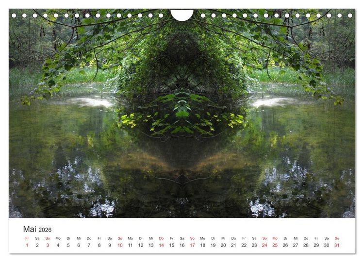 Produktbild: Spiegelwelten - Natur anders sehen (Wandkalender 2026 DIN A4 quer), CALVENDO Monatskalender