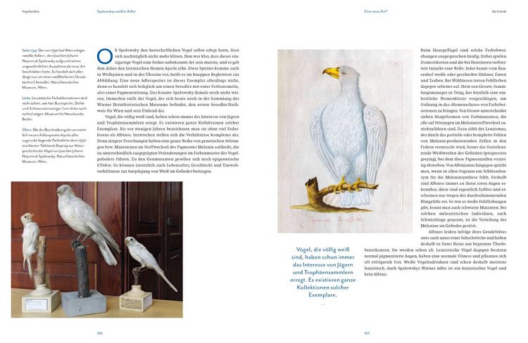 Produktbild: Vogelwelten