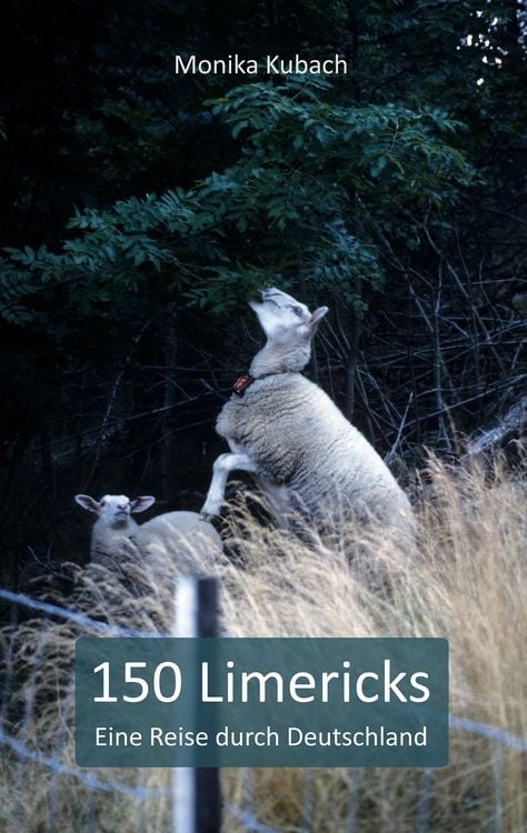 Produktbild: 150 Limericks