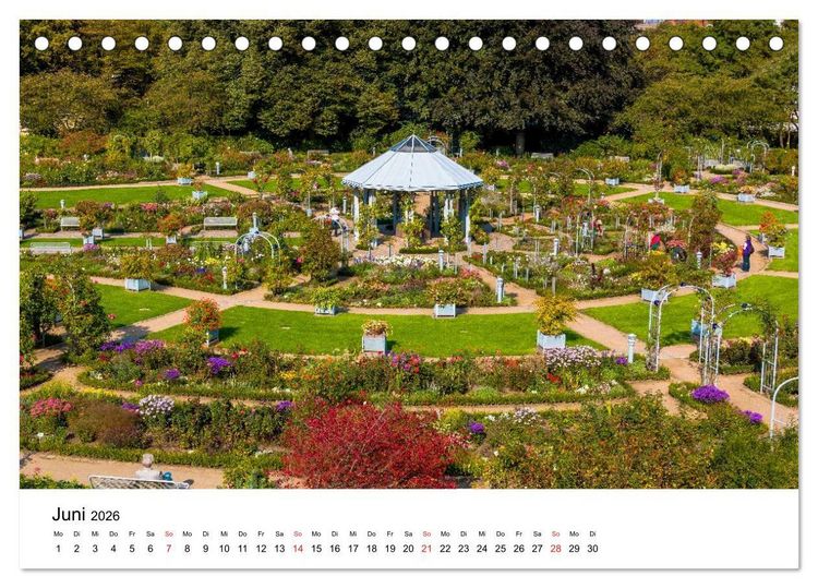 Produktbild: Gr&uuml;nes Hamburg (Tischkalender 2026 DIN A5 quer), CALVENDO Monatskalender
