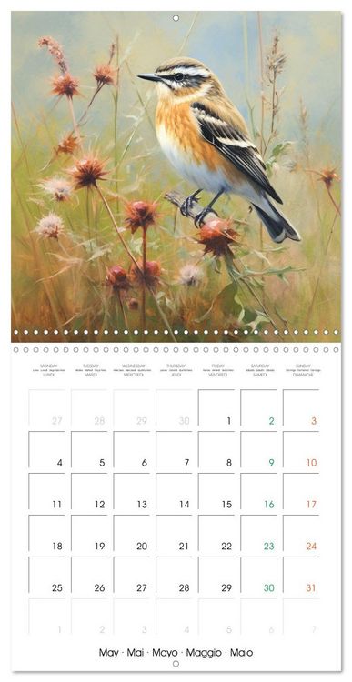 Produktbild: Ailes en sc&egrave;ne (Calendrier mural carr&eacute; 2026 30x30 cm) Calendrier double avec une page pour vos prises de notes
