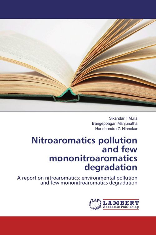 Produktbild: Nitroaromatics pollution and few mononitroaromatics degradation