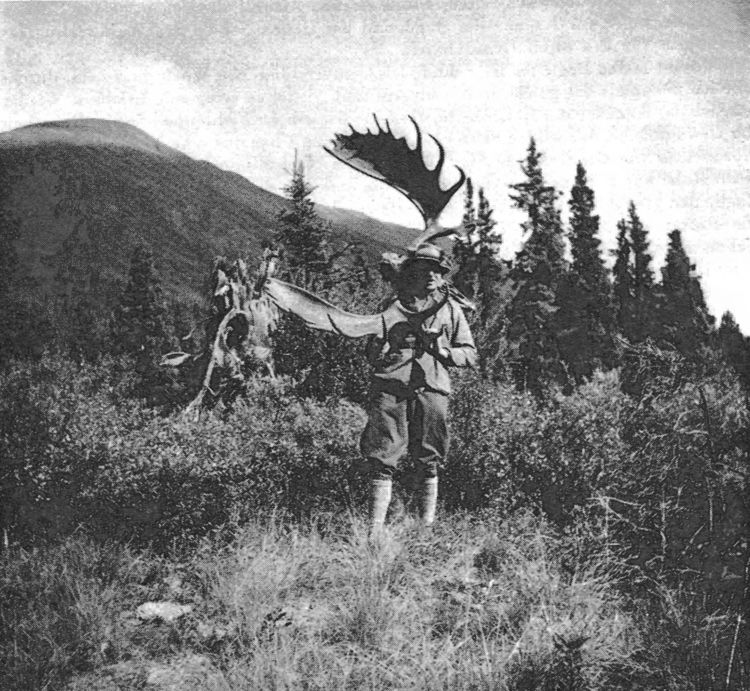 Produktbild: Jagdtage und Nordlichtn&auml;chte