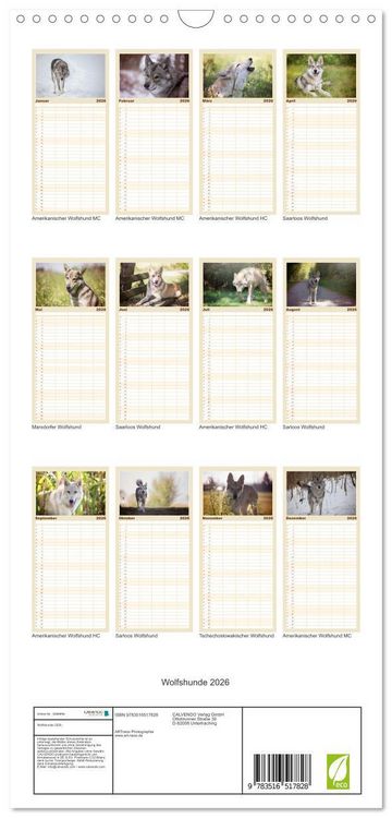 Produktbild: Familienplaner 2026 - Wolfshunde 2026 mit 5 Spalten (Wandkalender, 21 x 45 cm) CALVENDO