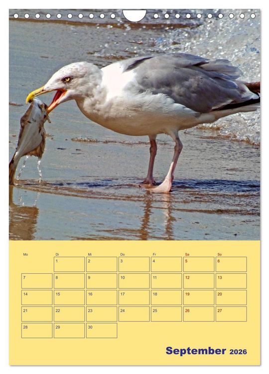 Produktbild: Sehnsuchtsort Warnem&uuml;nde (Wandkalender 2026 DIN A4 hoch), CALVENDO Monatskalender
