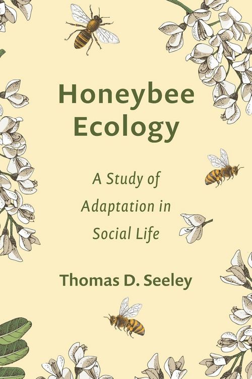 Produktbild: Honeybee Ecology