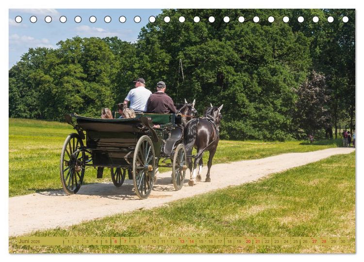 Produktbild: Parkgemeinde Kromlau (Tischkalender 2026 DIN A5 quer), CALVENDO Monatskalender
