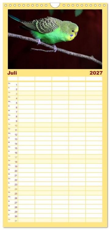 Produktbild: Familienplaner 2027 - Wellensittichkalender! - Das Original mit 5 Spalten (Wandkalender, 21 x 45 cm) CALVENDO