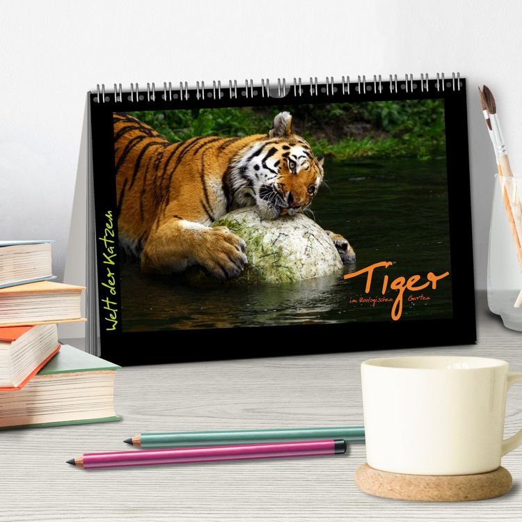 Produktbild: Welt der Katzen - Tiger (Tischkalender 2026 DIN A5 quer), CALVENDO Monatskalender