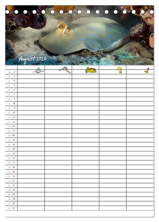 Produktbild: Der Unterwasser Familienplaner 2026 (Tischkalender 2026 DIN A5 hoch), CALVENDO Monatskalender