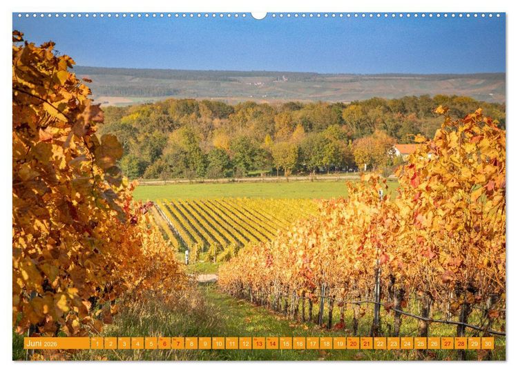Produktbild: Indian Summer in Baden-W&uuml;rttemberg (Wandkalender 2026 DIN A2 quer), CALVENDO Monatskalender