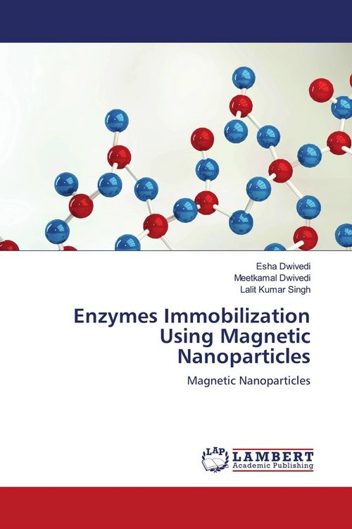 Produktbild: Enzymes Immobilization Using Magnetic Nanoparticles