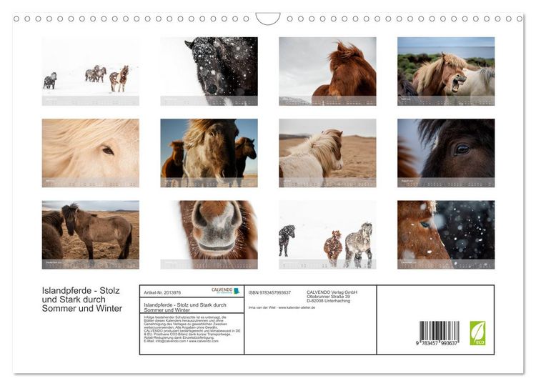 Produktbild: Islandpferde - Stolz und Stark durch Sommer und Winter (Wandkalender 2026 DIN A3 quer), CALVENDO Monatskalender