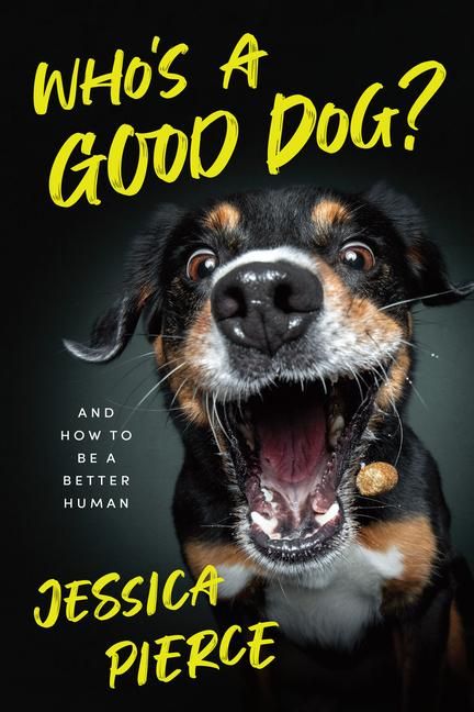 Produktbild: Who's a Good Dog?