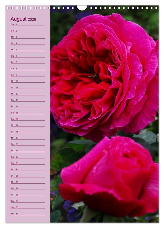 Produktbild: Rosen Symphonie (Wandkalender 2026 DIN A3 hoch), CALVENDO Monatskalender
