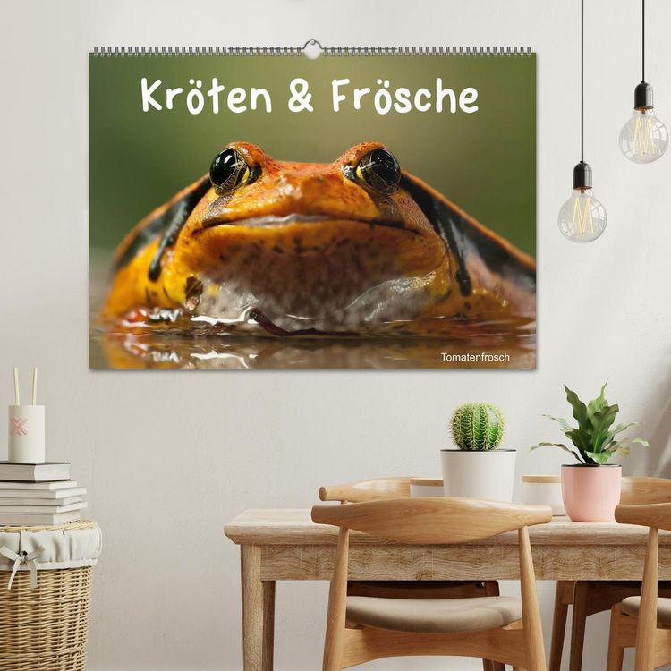 Produktbild: Kr&ouml;ten & Fr&ouml;sche (Wandkalender 2026 DIN A2 quer), CALVENDO Monatskalender