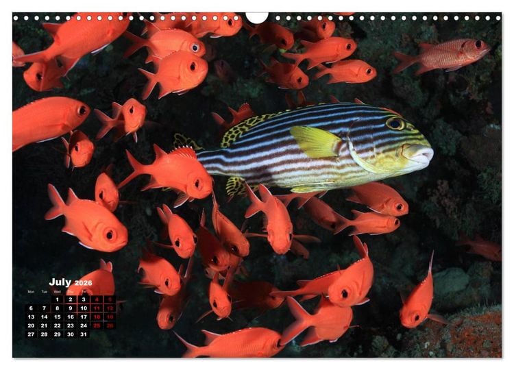 Produktbild: Magical Underwater World (Wall Calendar 2026 DIN A3 landscape), CALVENDO 12 Month Wall Calendar