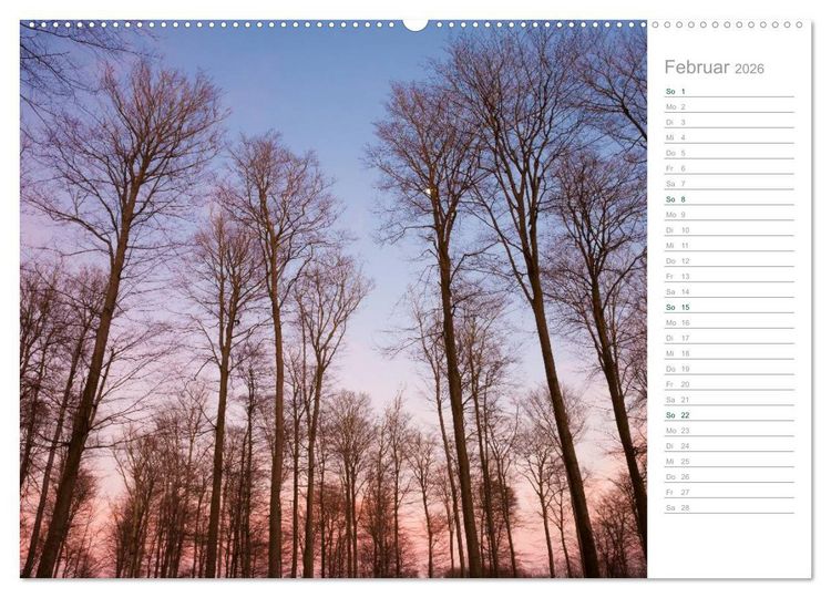 Produktbild: Im Deutschen Wald 2026 - ein Notizkalender (Wandkalender 2026 DIN A2 quer), CALVENDO Monatskalender