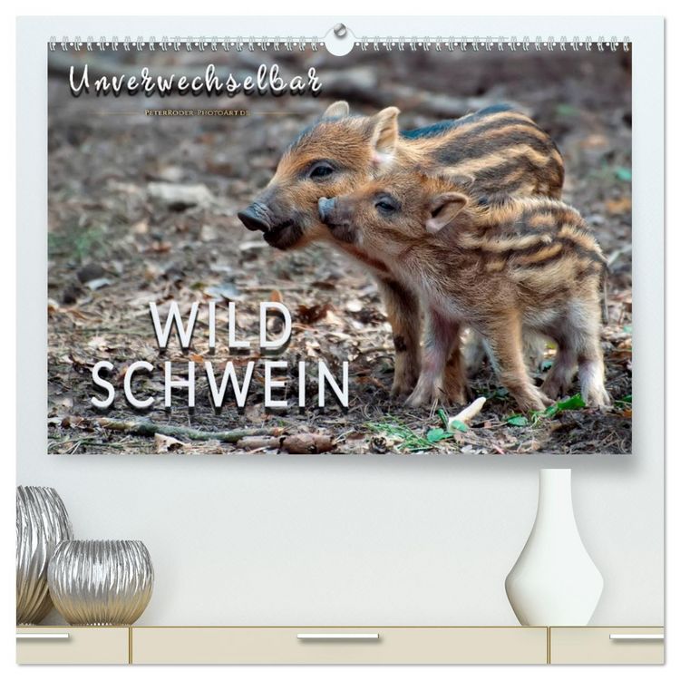 Produktbild: Unverwechselbar - Wildschwein (hochwertiger Premium Wandkalender 2026 DIN A2 quer), Kunstdruck in Hochglanz