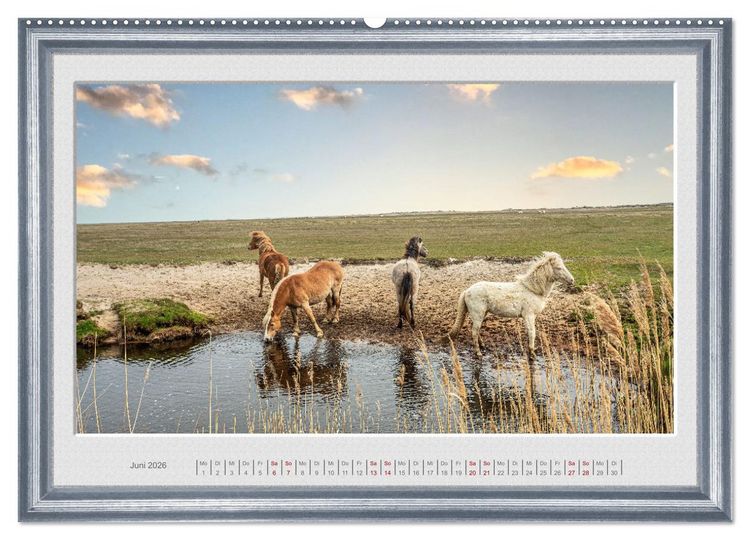 Produktbild: Ich bin ein Isl&auml;nder (hochwertiger Premium Wandkalender 2026 DIN A2 quer), Kunstdruck in Hochglanz