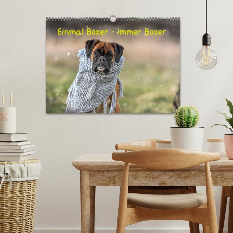 Produktbild: Einmal Boxer - immer Boxer (Wandkalender 2026 DIN A3 quer), CALVENDO Monatskalender