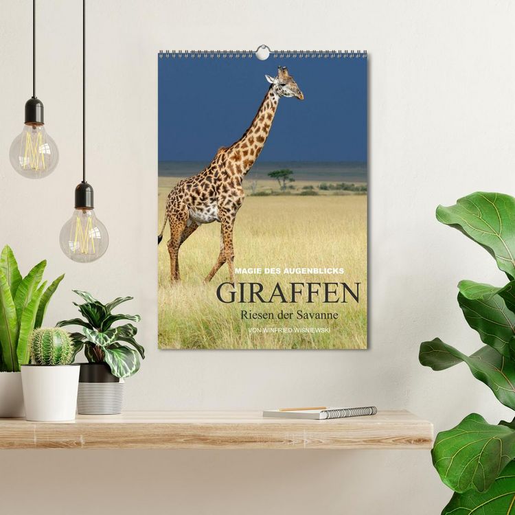 Produktbild: Magie des Augenblicks - Giraffen - Riesen der Savanne (Wandkalender 2026 DIN A3 hoch), CALVENDO Monatskalender