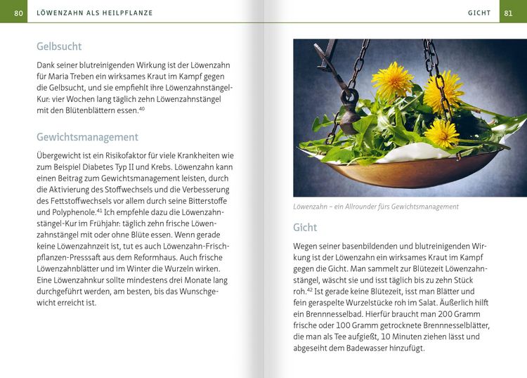 Produktbild: L&ouml;wenzahn - Wunderkraut f&uuml;r Resilienz und Lebenskraft. Kompakt-Ratgeber