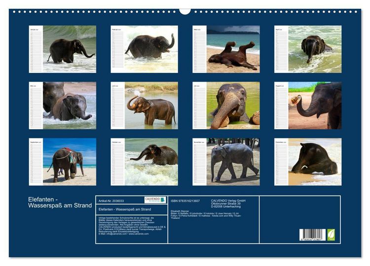 Produktbild: Elefanten - Wasserspa&szlig; am Strand (Wandkalender 2026 DIN A2 quer), CALVENDO Monatskalender