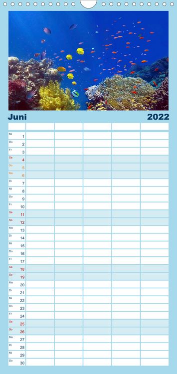 Produktbild: Riffleben - Einfach mal abtauchen - Familienplaner hoch (Wandkalender 2022 , 21 cm x 45 cm, hoch)