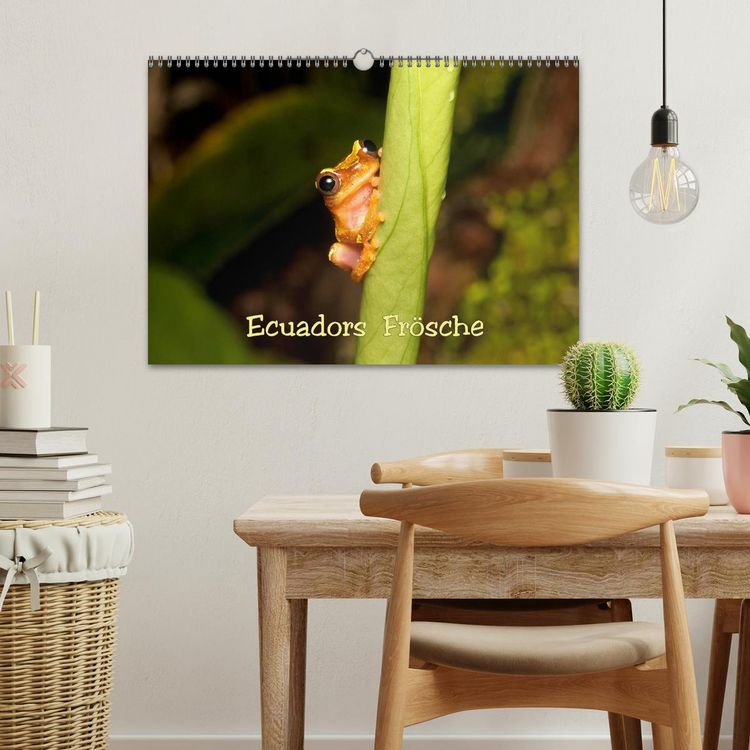 Produktbild: Ecuadors Fr&ouml;sche (Wandkalender 2026 DIN A3 quer), CALVENDO Monatskalender