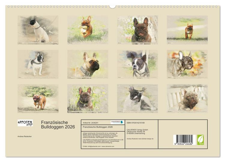 Produktbild: Franz&ouml;sische Bulldoggen 2026 (hochwertiger Premium Wandkalender 2026 DIN A2 quer), Kunstdruck in Hochglanz
