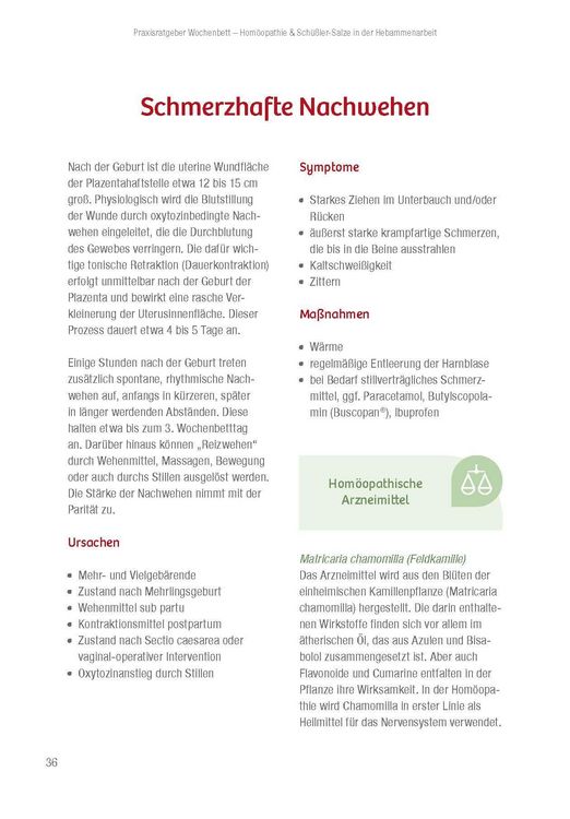 Produktbild: Praxisratgeber Wochenbett. Beschwerden lindern und vorbeugen.