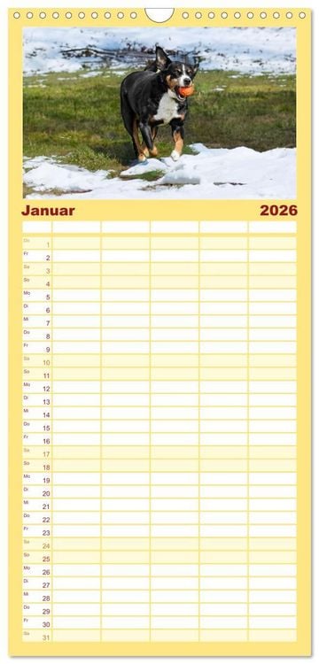 Produktbild: Familienplaner 2026 - Appenzeller Sennenhunde - Fr&ouml;hliche Kameraden mit 5 Spalten (Wandkalender, 21 x 45 cm) CALVENDO