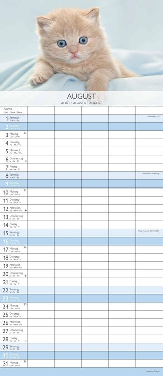 Kätzchen 2026 Familienplaner - Familienkalender - Wandkalender - 19,5x45