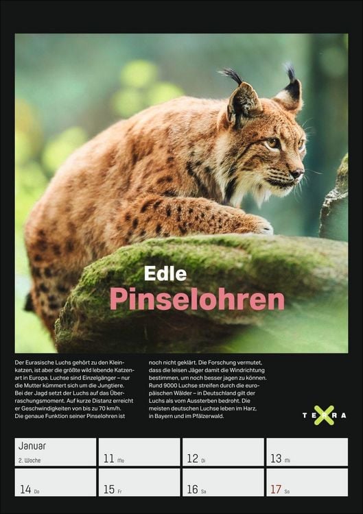 Produktbild: Terra X &ndash; Das Wunder Erde Wochenplaner 2027