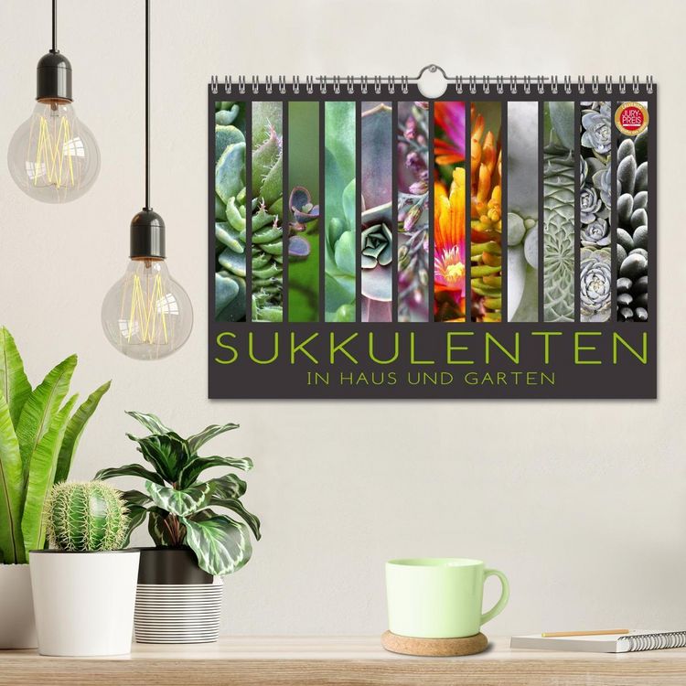 Produktbild: Sukkulenten in Haus und Garten (Wandkalender 2026 DIN A4 quer), CALVENDO Monatskalender