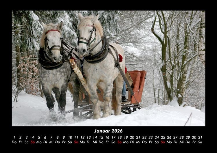 Produktbild: Pferde Kalender 2026 Fotokalender DIN A3