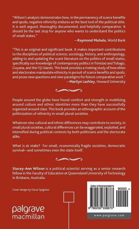Produktbild: Politics of Identity in Small Plural Societies