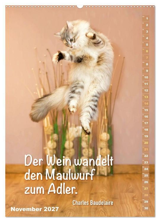 Produktbild: Der literarische Katerkalender (Wandkalender 2027 DIN A2 hoch), CALVENDO Monatskalender