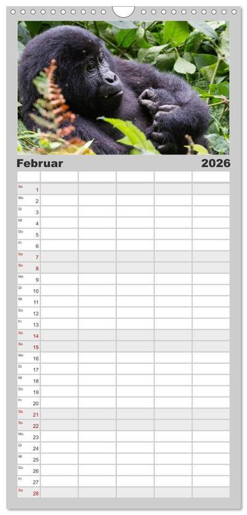 Produktbild: Familienplaner 2026 - Gorillas ohne Nebel mit 5 Spalten (Wandkalender, 21 x 45 cm) CALVENDO