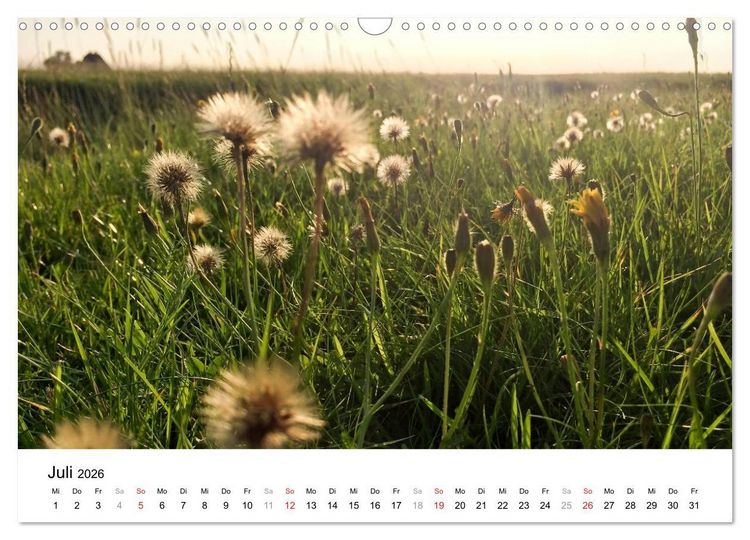 Produktbild: Hallig Hooge - zwischen Himmel und Erde (Wandkalender 2026 DIN A3 quer), CALVENDO Monatskalender